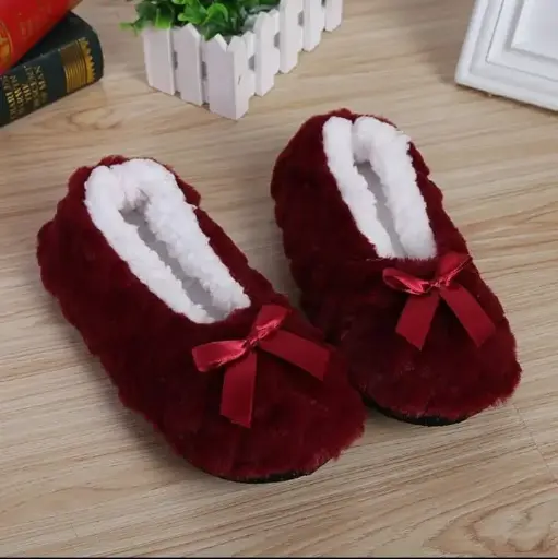 Winter Shoes - Soft Plush Slippers